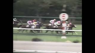 ビワハヤヒデ 1992年 3歳新馬戦 (優勝馬：ビワハヤヒデ)