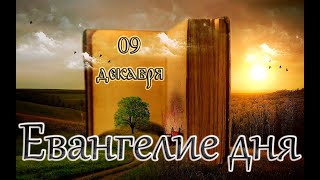 Апостол, Евангелие и Святые дня. Свт. Инноке́нтия (Кульчицкого), епископа Иркутского. (09.12.24)