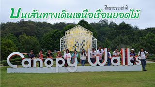 ศึกษาธรรมชาติ บนเส้นทางเดินเหนือเรือนยอดไม้ (Canopy Walkway) จ.เชียงใหม่