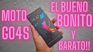 Review del Moto G04S, volvio a pisar fuerte el Rey en Argentina