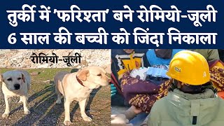 Turkey Earthquake Rescue: तुर्की में NDRF के Sniffer Dogs Romeo Julie ने ऐसे बचाई बच्ची की जान | NBT