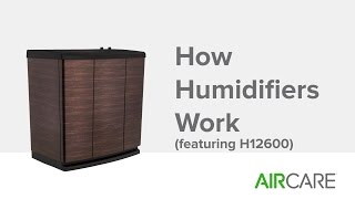 How Humidifiers Work (featuring H12600)