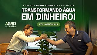 EDIL MORISSUGUI- Agro Sucessão #19