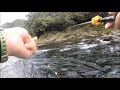 creek fishing in taiwan 急瀨用神餌浮標釣苦花也很另類