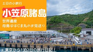 母島　ははじま丸のお見送りの様子2021/1/2　Japan's World Heritage Site