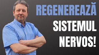 REGENEREAZĂ SISTEMUL NERVOS!