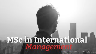 MSc In International Management