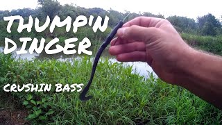 Bass Fishing With A Yum Thump'n Dinger - Bank Fishing At Its Best