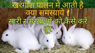 #New business ideas #How to earn money Rabbit Farming #Khargosh#vastu#pets#haryana