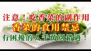 吃香菜的副作用、香菜的食用禁忌：有困擾的人千萬別錯過！