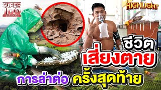 ล่ารังต่อเสี่ยงตาย ภารกิจครั้งสุดท้าย หยุดหายใจเพราะโดนต่อต่อย ! HIGHLIGHT | SUPER100