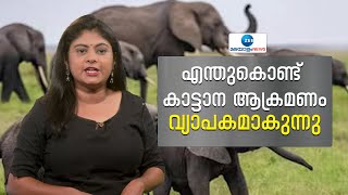 Wild Elephant Attack | എന്തുകൊണ്ട് കാട്ടാന ആക്രമണം വ്യാപകമാകുന്നു | Mission Arikomban