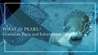 What Is Pearl - Gemstone Facts and Information