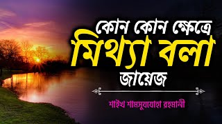 কোন কোন ক্ষেত্রে মিথ্যা বলা জায়েজ│শাইখ শামসুযযোহা রহমানী bangla waz