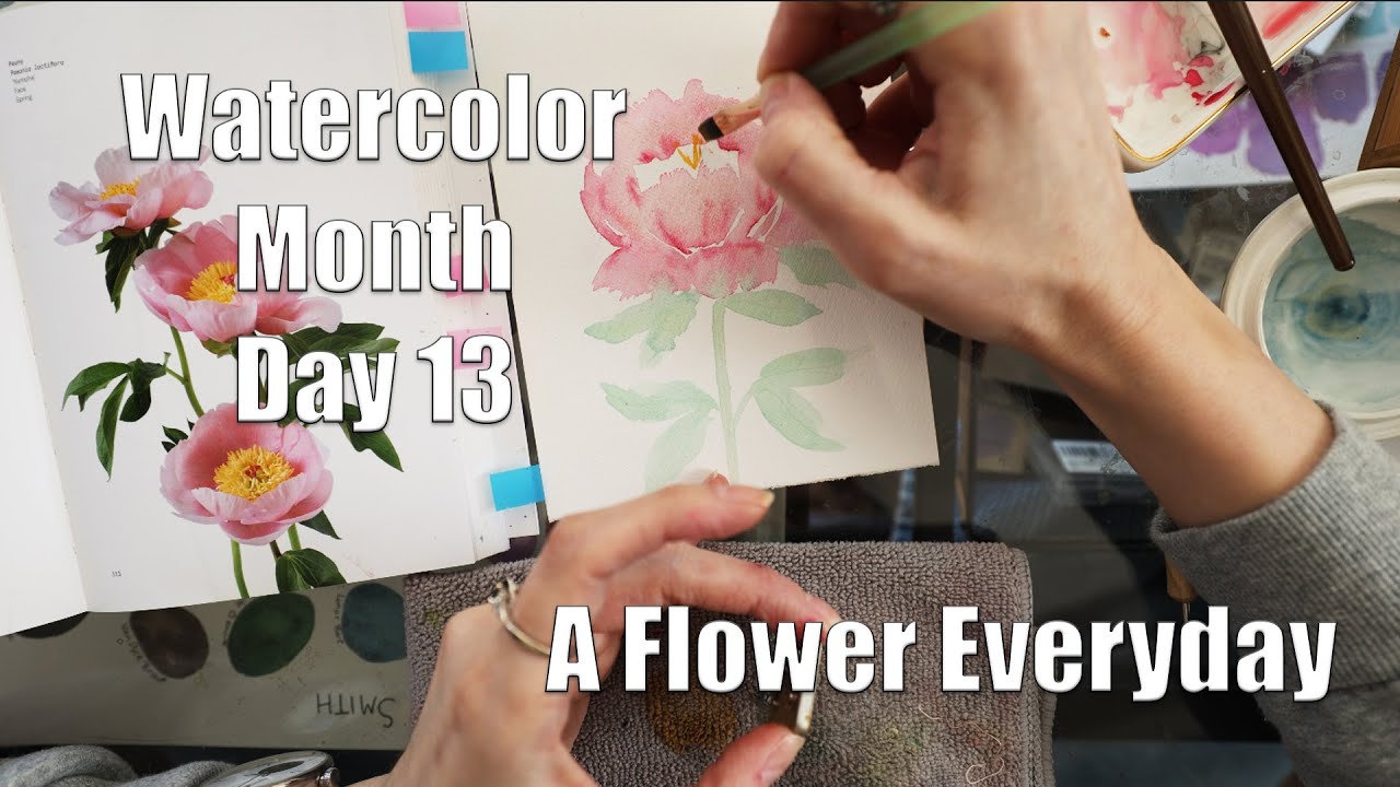 Day 13 World Watercolor Month A Flower Everyday Peony Flower Color