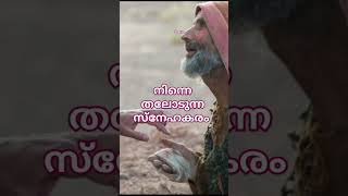 ആശ്വാസം പകരുന്ന ദൈവകരം #youtubeshorts #tinugeorgelatestmessage #apostletinugeorge #pastortinugeorge