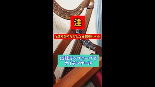 The Nightingale (15 strings Harp) : Deborah Henson-Conant, ototsubu harp