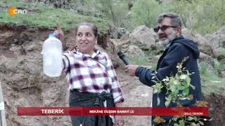 Teberik - Ali Şeker - Mekâne Duzgın Bawayî (2) / Qîsle / Dersim - 11.06.2022