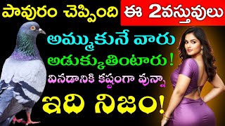 పావురం చెప్పింది ఈ 2వస్తువులు అమ్ముకునే వారు అడుక్కుతింటారు వినడానికి కష్టంగా వున్నా ఇది నిజం!