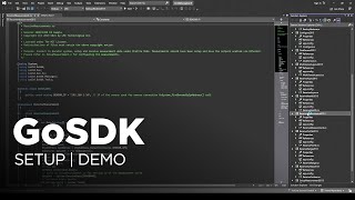 GoSDK | Setup and Demo