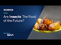 Are Insects The Food of the Future? | Science pills