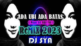 Ada Ubi Ada Batas SALOMA ReMiX 2023