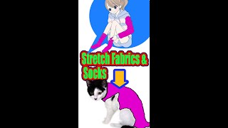 Cat spay,After Surgery,Post-op clothes,子猫,避妊手術後,術後服,猫カフェ,猫ニャーゴ,Cat_Cafe,Cat Video ,Правда о кошках