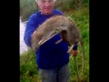 6 giant biggest rats ever found near people..scary