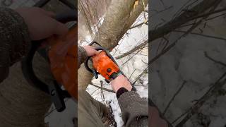 STIHL - MS 180 в роботі