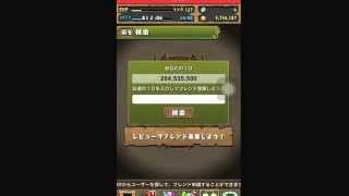 パズドラフレンド募集