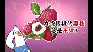 【小魔】为啥我挑的荔枝总是不甜？#shorts