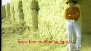 Bronco-Naila (El Gigante De América)