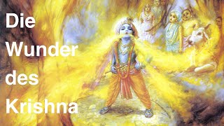 Die Wunder des Krishna