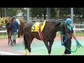 2023年4月17日。金沢競馬第4レースパドック