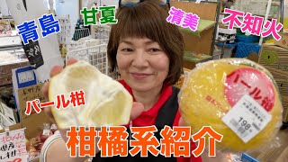 物産館にはいろんな種類の柑橘系果物があります。特徴紹介