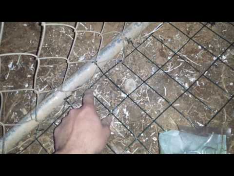 How to stop dog from digging under fence How to stop dog from digging under fence