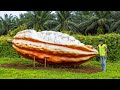 Cocoa Tour at Teck Guan Cocoa Village