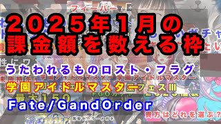 2025年1月の課金額を数える枠【ロスフラ・学マス・ＦＧＯ】