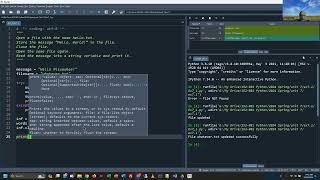 Programming in Python - Chapter 7 Exercises Part 2 (Files & Exceptions) - Spring 2024