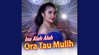 Ora Tau Mulih