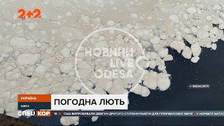 Ненастье свалило десятки деревьев на трассу в Херсоне