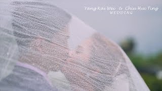 WEDDING SDE Yang Kai Wei   \u0026  Chiu Hui Ting  宜蘭婚禮紀錄 金樽廣場 | 婚禮錄影/快剪快播 /婚錄推薦