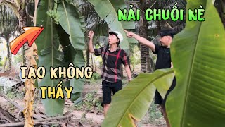 Ông Hải Khóc Mếu Máo Khi Bị Bọn Ác Gài Xuống Hầm Nhát Ma