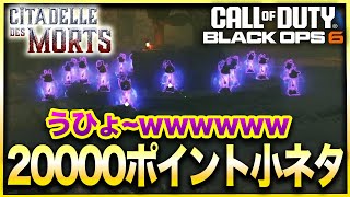 【CoD:BO6ゾンビ】キター！！！「Citadelle des Morts」夢の20000ポイント獲得小ネタ紹介！Call of Duty Black Ops 6