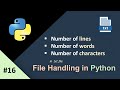 File Handling in Python Assignment|Find Number of characters,words and lines in File|Python Tutorial
