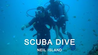 Scuba Dive Vlog | Scuba Diving in Andamans 2023