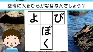 ✨🎍ひらがなT字穴埋めクイズvol.48 全10問🎍✨真ん中に入るひらがなは何でしょう？脳トレ＆レクにおすすめ！