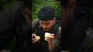 Berburu Buah Buahan Liar Di Kebun Masyarakat.! #survival #outdoors #bushcraft