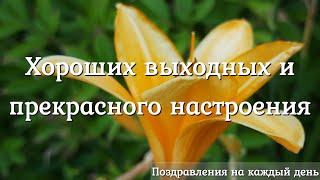 хороших выходных и прекрасного настроения