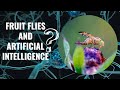 Fruit Fly Brain Mapping: Resembles Artificial Intelligence Models